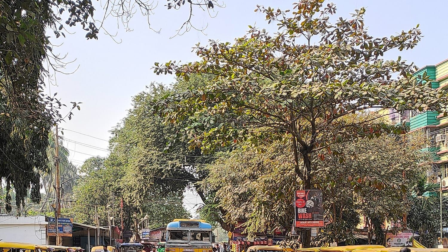 A quiet tree-lined street in Santoshpur, South Kolkata, with cycle rickshaws at the kerb. Stand-in photograph.